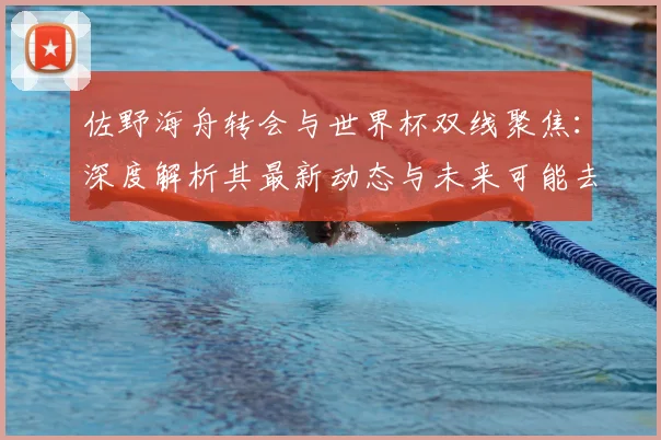 佐野海舟转会与世界杯双线聚焦：深度解析其最新动态与未来可能去向