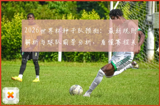 2026世界杯种子队预测：最新规则解析与球队前景分析，看懂赛程关键